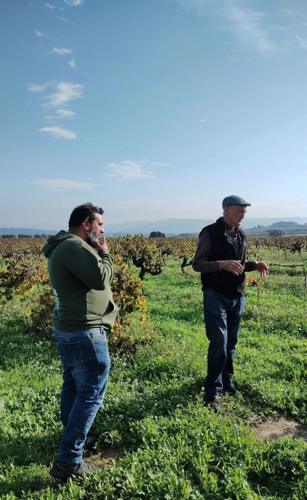 dinamizacion agroalimentaria territorial