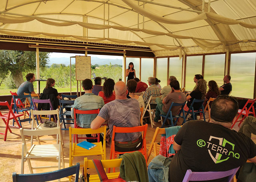 formacion emprendimiento