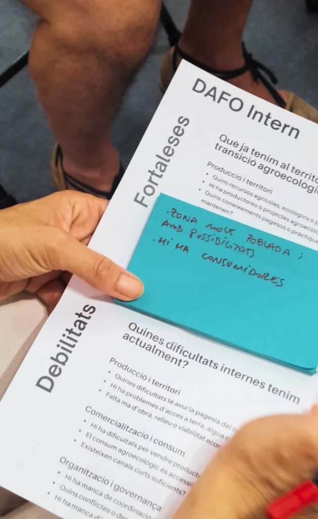impacto de la regeneracion agora